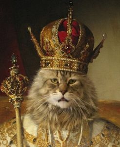 kot król